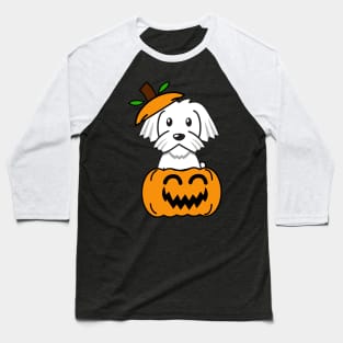 Funny white dog is in a pumpkin Baseball T-Shirt